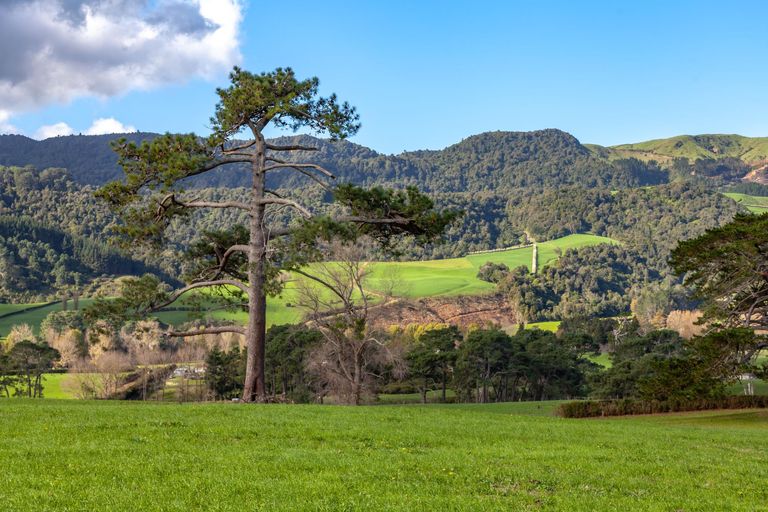 Photo of property in 658 Old Te Aroha Road, Okauia, 3471