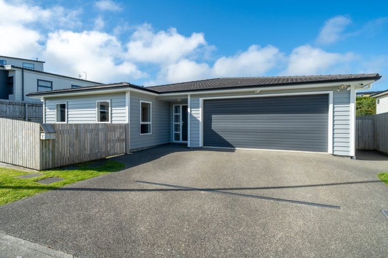 Photo of property in 5 Belize Grove, Grenada Village, Wellington, 6037