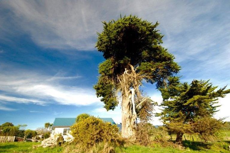 Photo of property in 3 Ray Street, Karamea, 7893