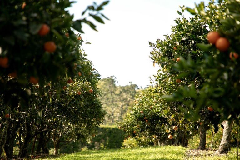Photo of property in 47 Darwin Road, Outer Kaiti, Gisborne, 4010