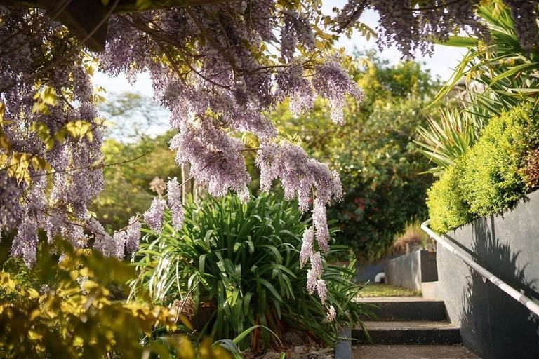 Photo of property in 25 Maire Street, Tahunanui, Nelson, 7011