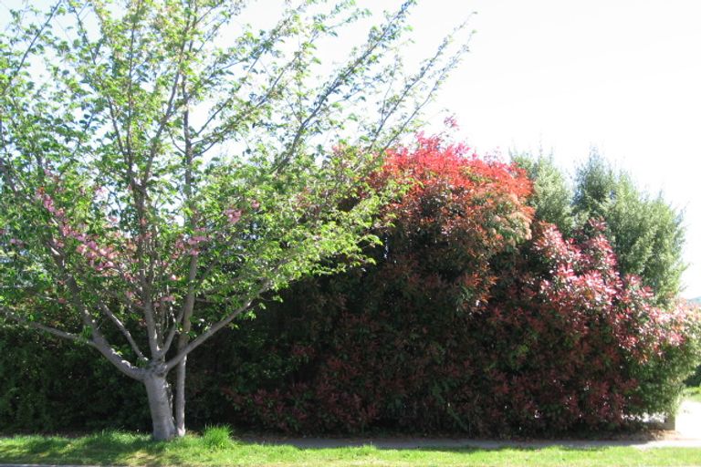 Photo of property in 1/62 Rotokawa Street, Taupo, 3330