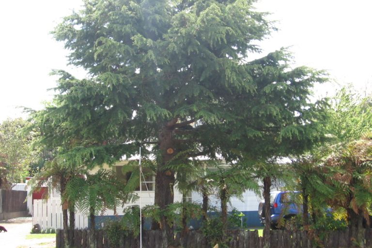 Photo of property in 49 Kingsley Drive, Ngongotaha, Rotorua, 3010