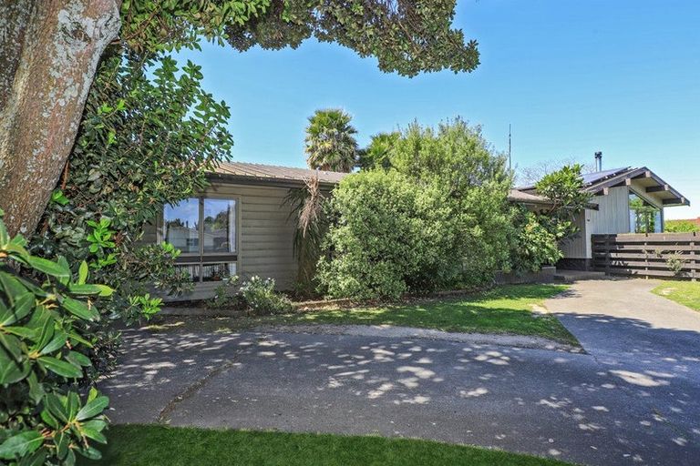 Photo of property in 100 Flaxmere Avenue, Flaxmere, Hastings, 4120