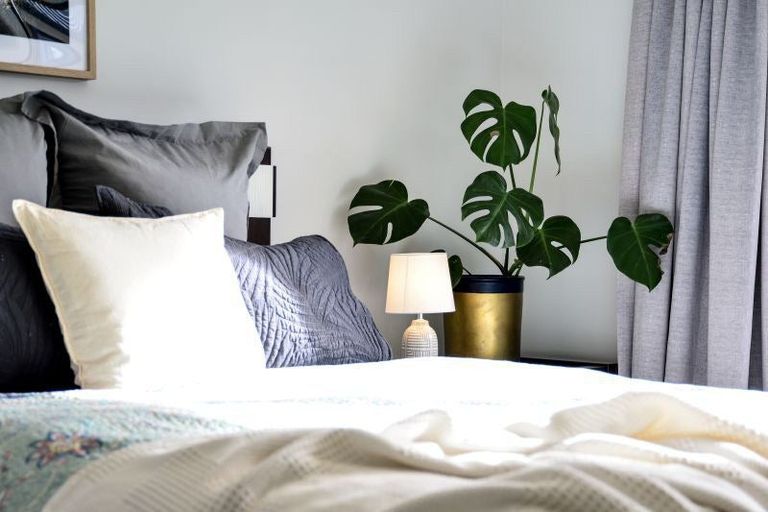 Photo of property in 24 Palm Grove Drive, Western Heights, Hamilton, 3200