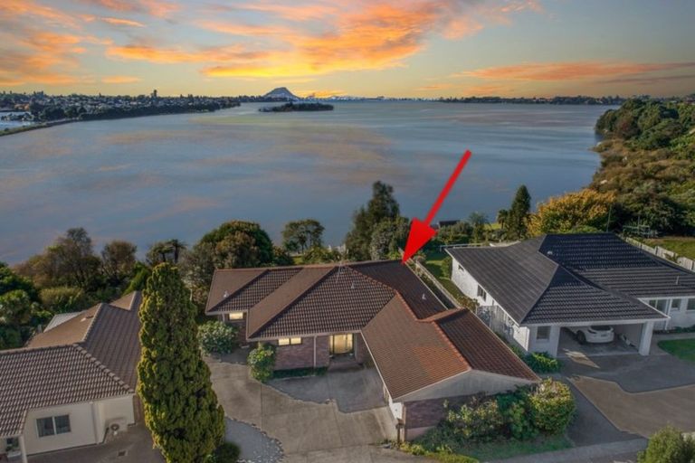 Photo of property in 57 Tutauanui Crescent, Maungatapu, Tauranga, 3112