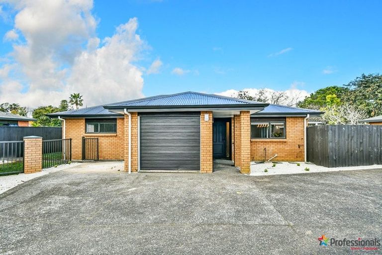 Photo of property in 15 Alderson Lane, Favona, Auckland, 2024