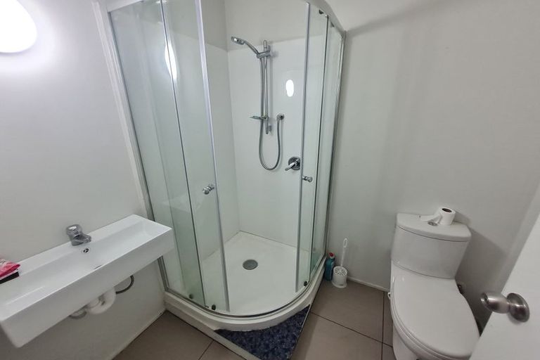 Photo of property in 102 Newcastle Road, Dinsdale, Hamilton, 3204