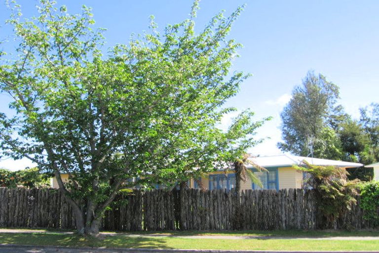 Photo of property in 66 Rotokawa Street, Taupo, 3330