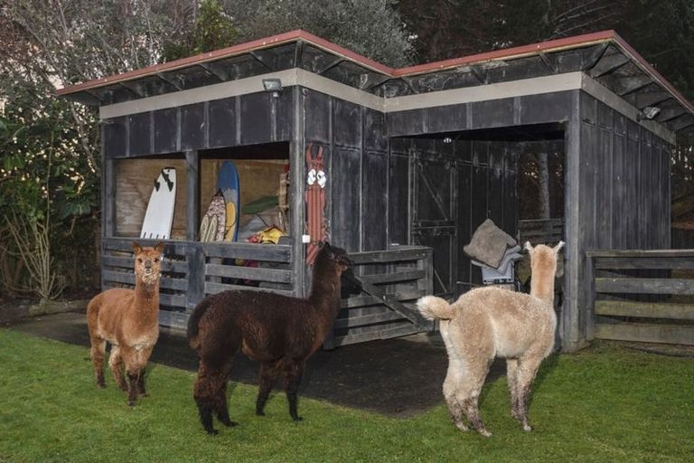 Photo of property in 246 West Hoe Heights, Orewa, 0931