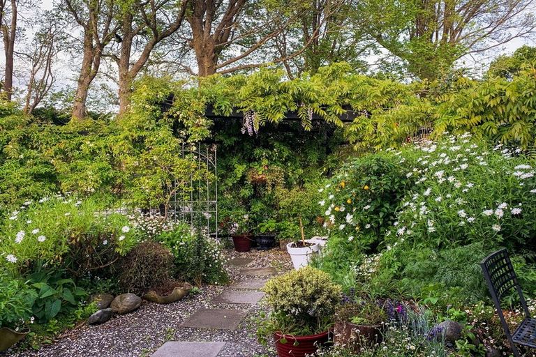 Photo of property in 20b Wood Street, Greytown, 5712