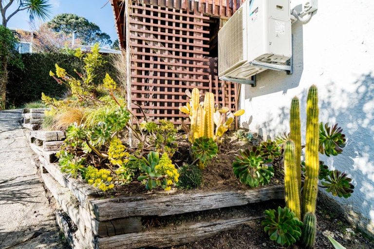 Photo of property in 54 Ravenswood Road, Saint Clair, Dunedin, 9012