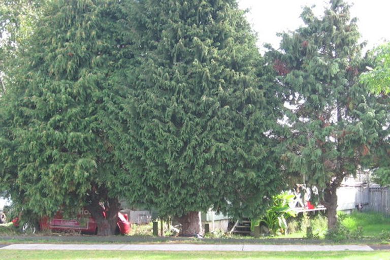 Photo of property in 1a Arney Road, Ranui, Auckland, 0612
