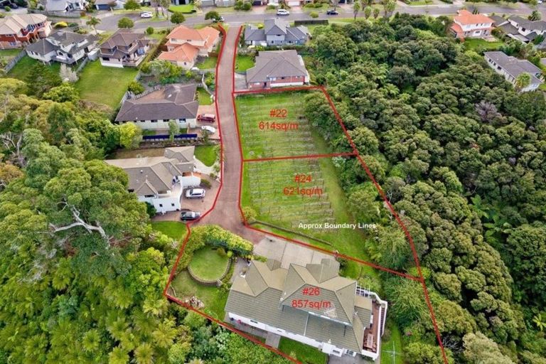 Photo of property in 22 Lorikeet Place, Unsworth Heights, Auckland, 0632