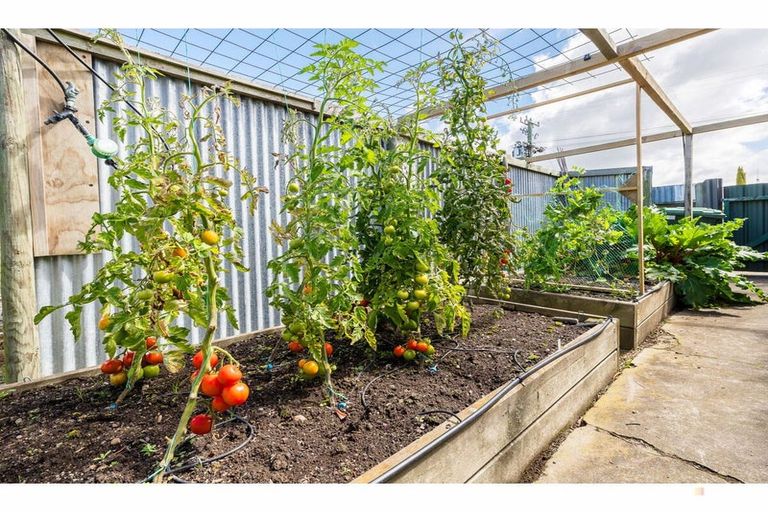 Photo of property in 17 Manse Street, Waimate, 7924