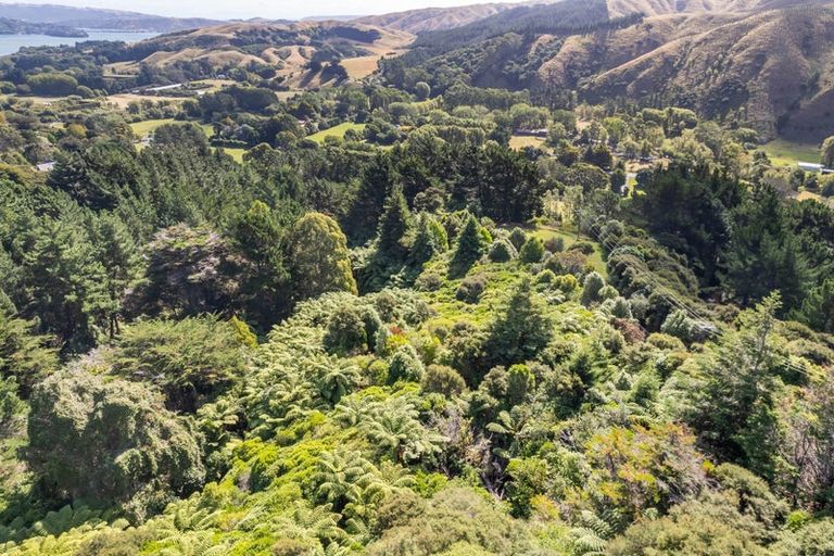 Photo of property in 298b Paekakariki Hill Road, Paekakariki Hill, Porirua, 5381