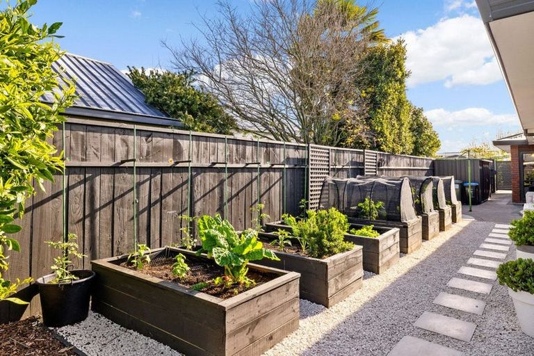 Photo of property in 71 Taylor Street, Cambridge, 3434