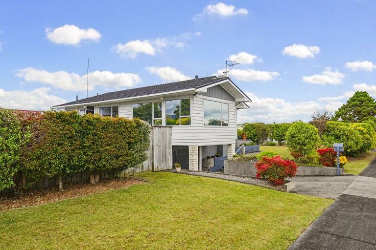 Photo of property in 24 Featherston Street, Levin, 5510