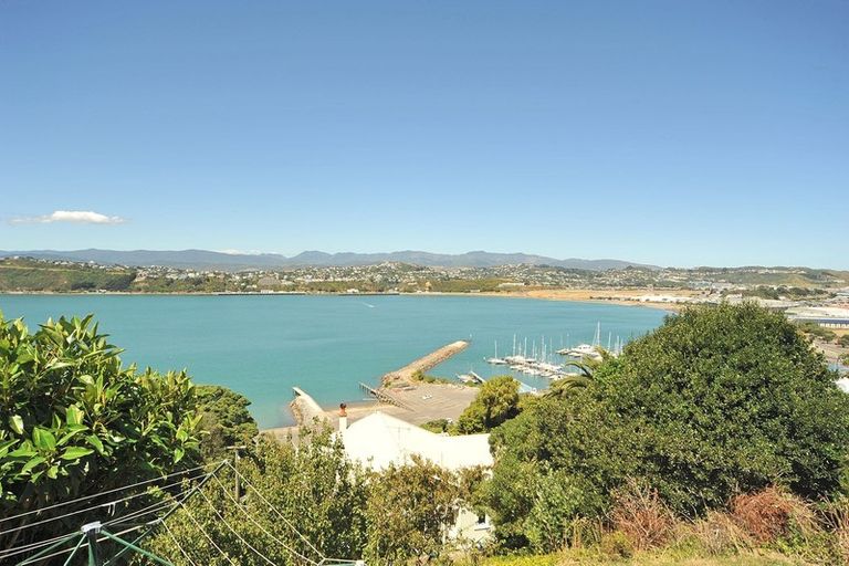Photo of property in 87a Overtoun Terrace, Hataitai, Wellington, 6021