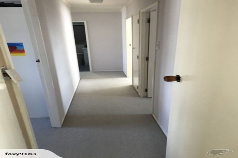 Photo of property in 317 Sinclair Terrace, Te Awamutu, 3800