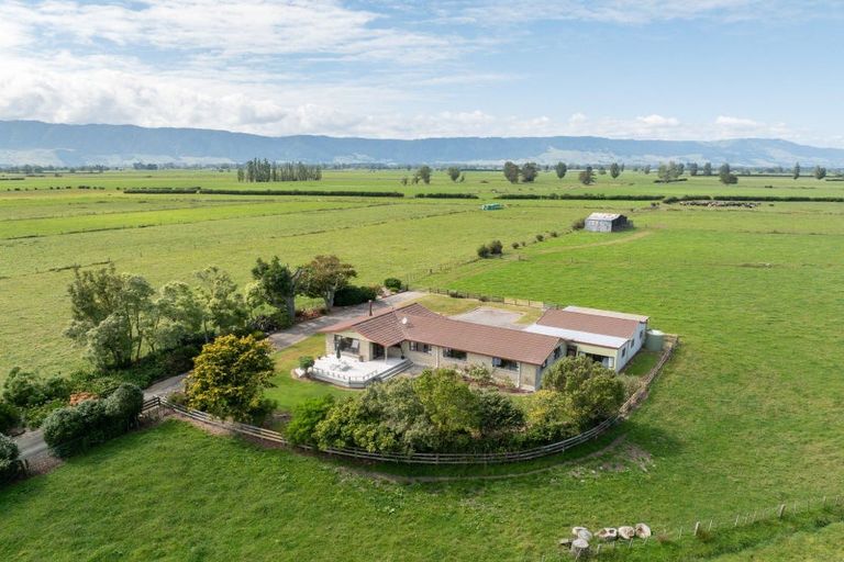 Photo of property in 118 Costall Road, Wardville, Waharoa, 3474