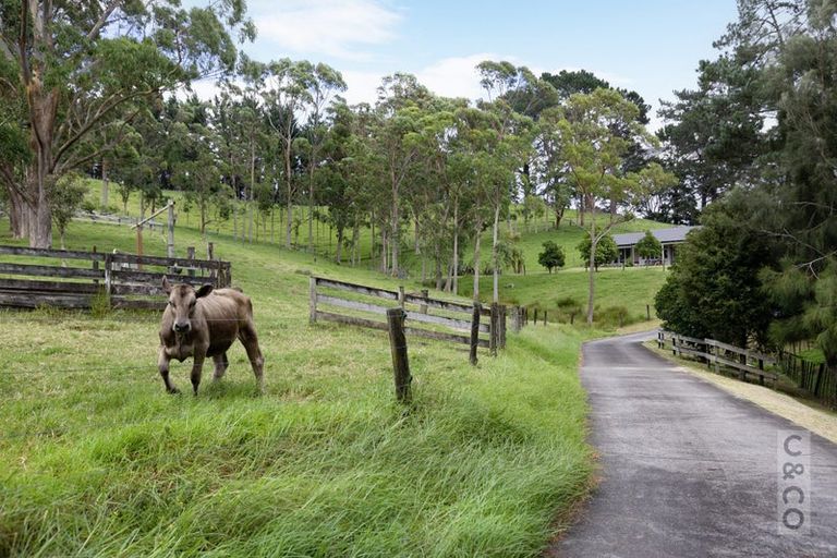 Photo of property in 589 Inland Road, Helensville, 0875