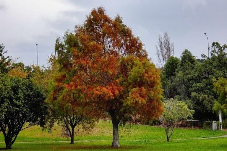 Photo of property in 1 Edwin Street, Belmont, Lower Hutt, 5010