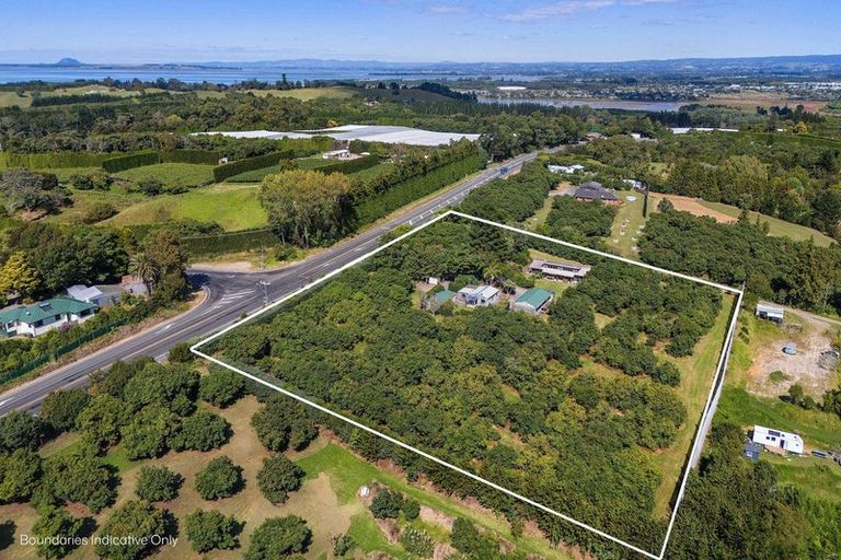 Photo of property in 463 State Highway, Tahawai, Katikati, 3170