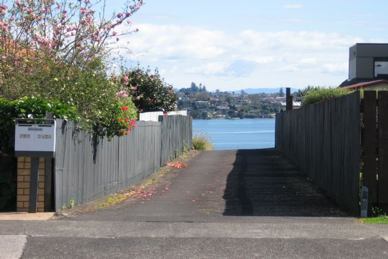 Photo of property in 292b Maungatapu Road, Maungatapu, Tauranga, 3112
