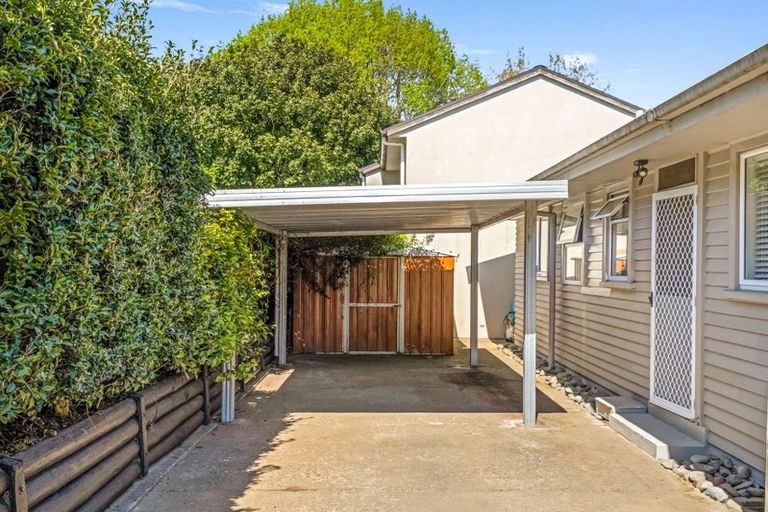 Photo of property in 4a Crombie Street, Bellevue, Tauranga, 3110