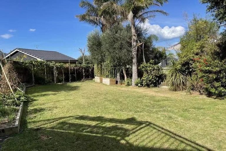 Photo of property in 5 Currey Crescent, Milford, Auckland, 0620