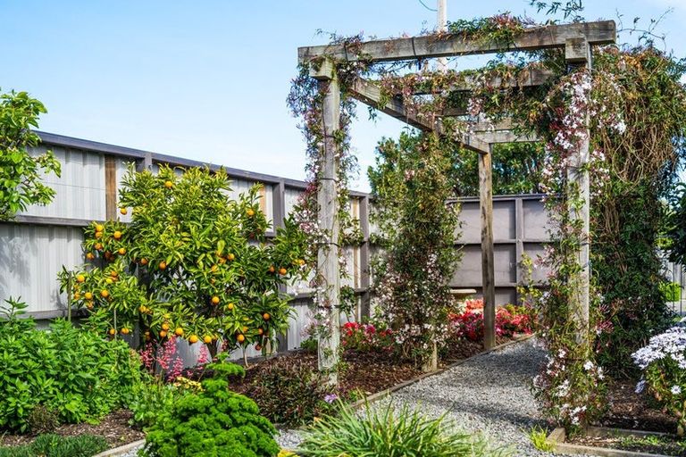 Photo of property in 11 Rose Street, Springlands, Blenheim, 7201