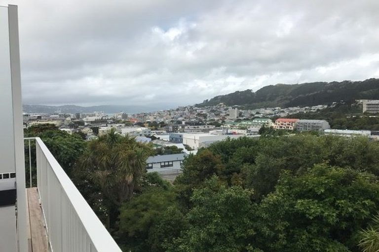 Photo of property in 147 Tasman Street, Mount Cook, Wellington, 6021
