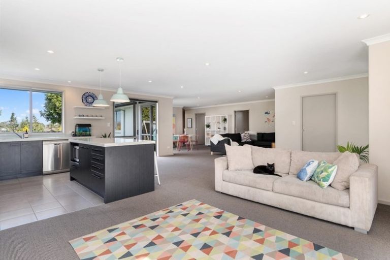 Photo of property in 105 Hawkridge Heights, Bethlehem, Tauranga, 3110