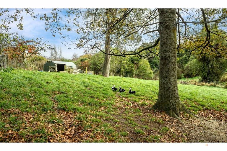 Photo of property in 80 Pye Road, Geraldine Downs, Geraldine, 7991