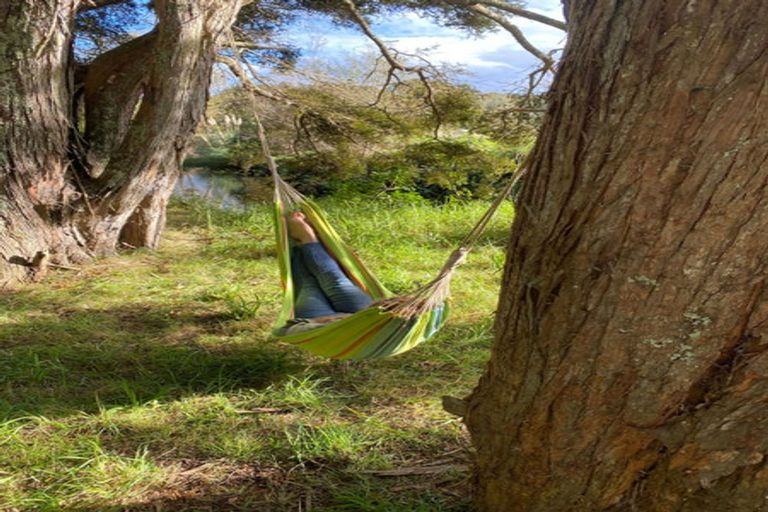 Photo of property in 448 Katui Road, Donnellys Crossing, Dargaville, 0379