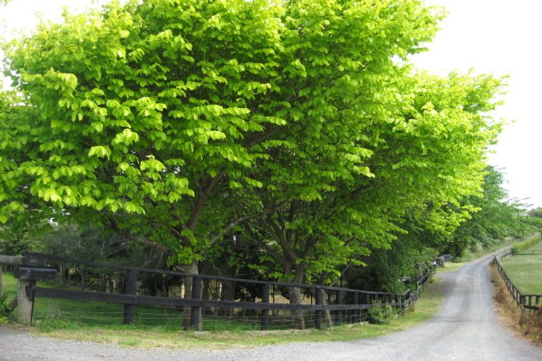 Photo of property in 403 Bremner Road, Karaka, Drury, 2578