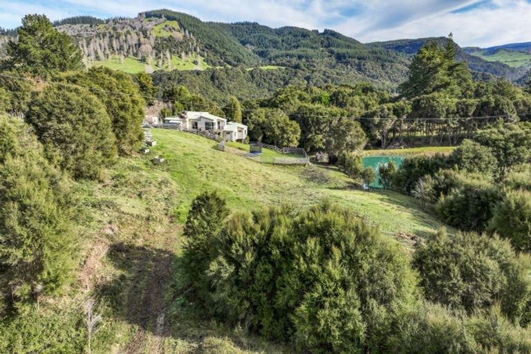 Photo of property in 1079 Ellis Wallace Road, Eskdale, Napier, 4182