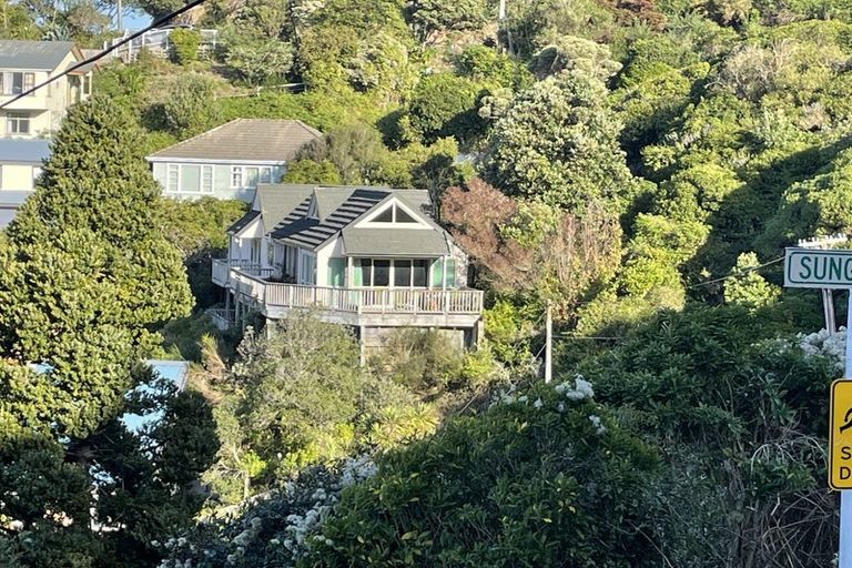 Photo of property in 51 Hornsey Road, Melrose, Wellington, 6023