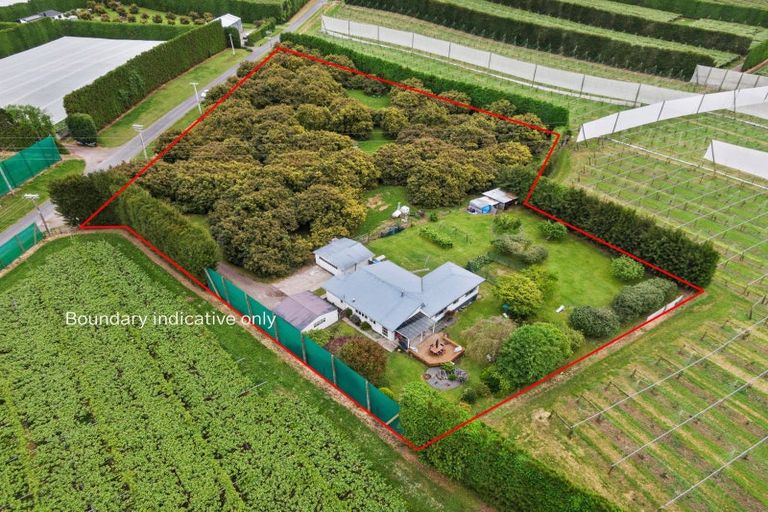 Photo of property in 348 Manoeka Road, Te Puke, 3183