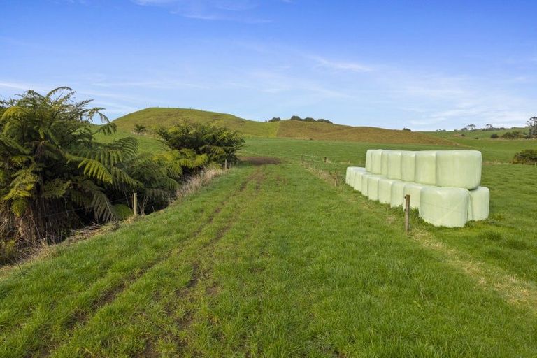 Photo of property in 1234 Richmond Road, Everett Park, Inglewood, 4389