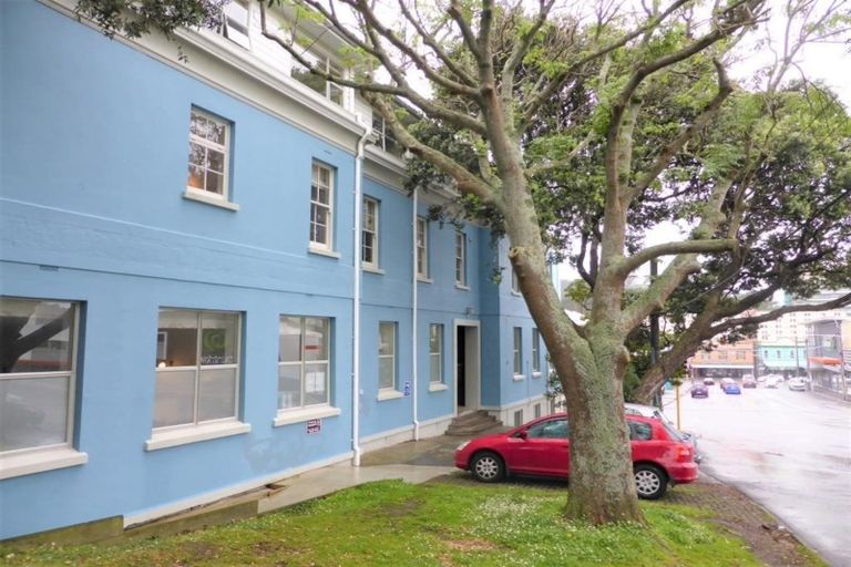 Photo of property in 207 Tasman Street, Mount Cook, Wellington, 6021