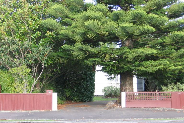 Photo of property in 36b Manson Street, Terrace End, Palmerston North, 4410