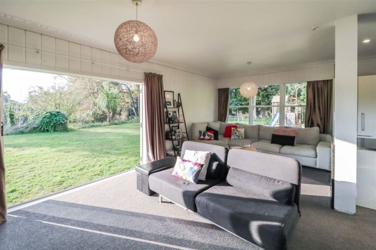 Photo of property in 119 Fitzroy Avenue, Fitzroy, Hamilton, 3206
