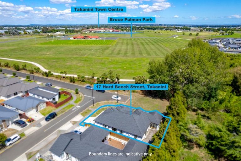 Photo of property in 17 Hard Beech Street, Takanini, 2110