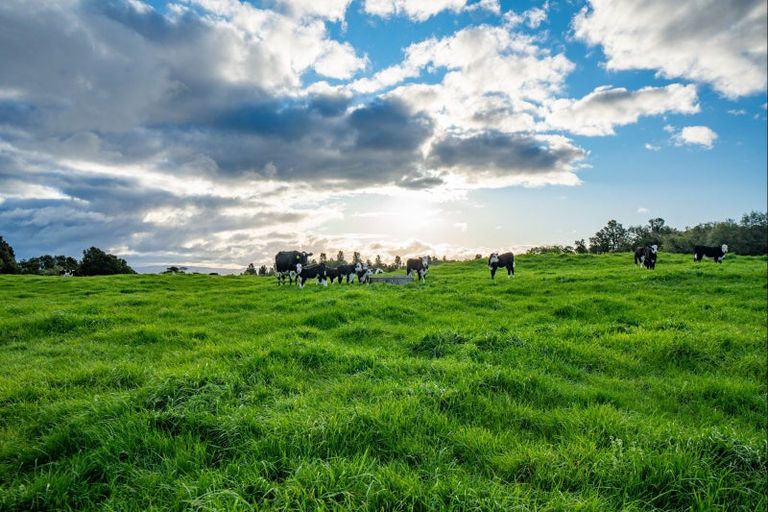 Photo of property in 431 Kawakawa Road, Marotiri, Taupo, 3377