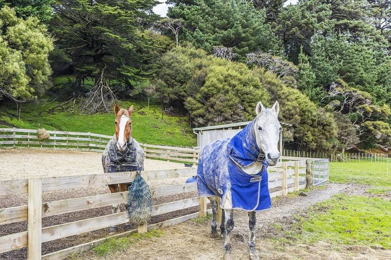 Photo of property in 781 Ohariu Valley Road, Ohariu, Wellington, 6037