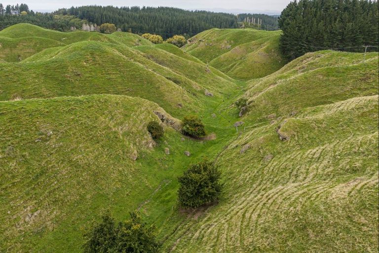 Photo of property in 81 Kaiwaka Road, Tangoio, Napier, 4181