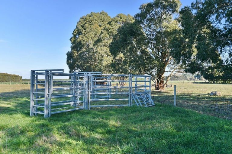 Photo of property in 77 Bridge Road, Fernside, Rangiora, 7475