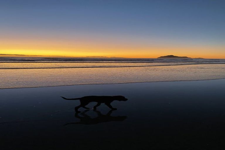 Photo of property in 21 Gillies Crescent, Waimarama, Havelock North, 4294